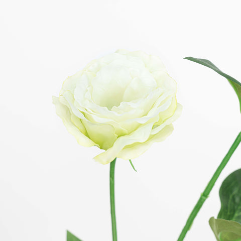 26" LISIANTHUS SPRAY