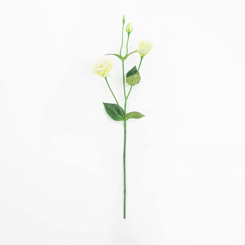 26" LISIANTHUS SPRAY