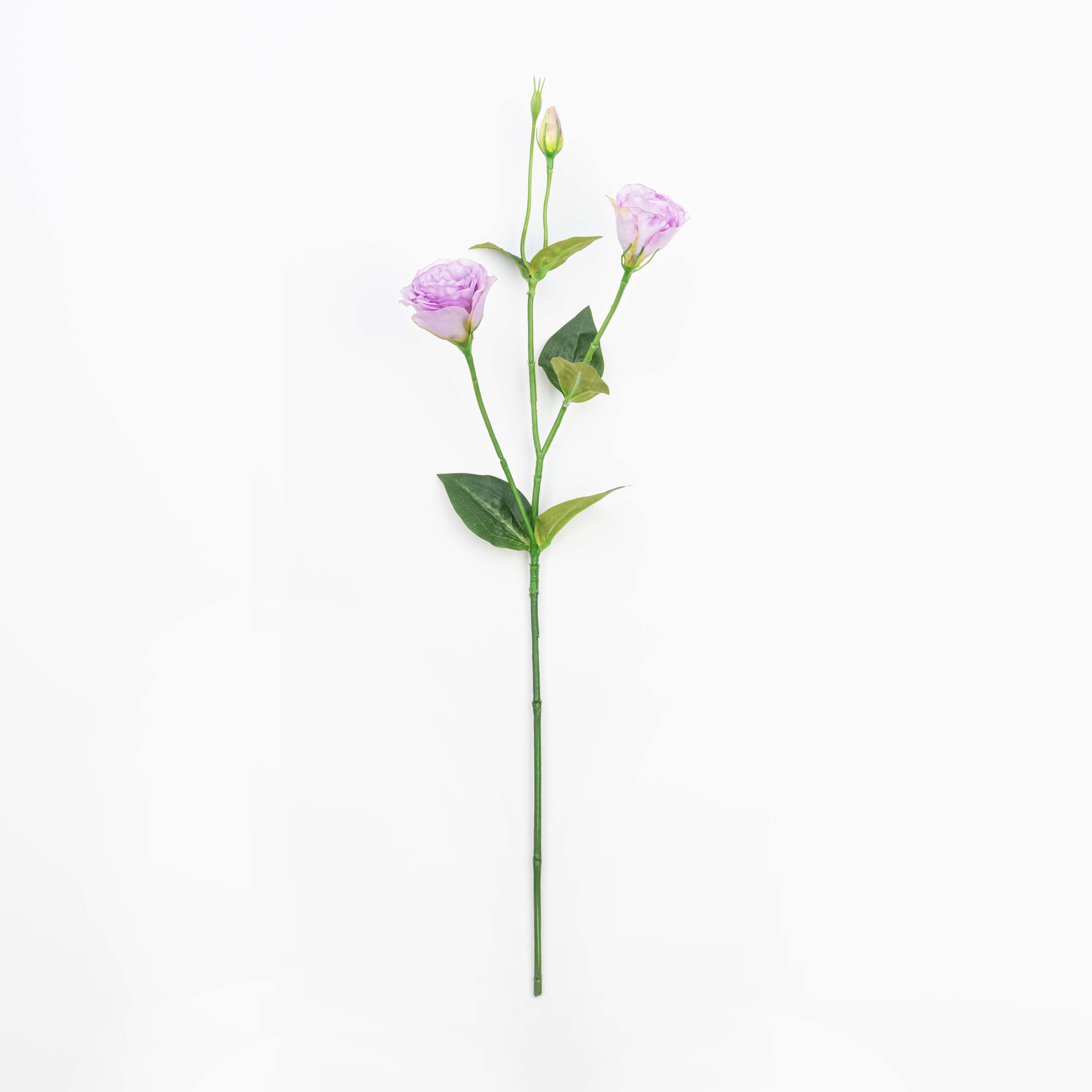 26" LISIANTHUS SPRAY