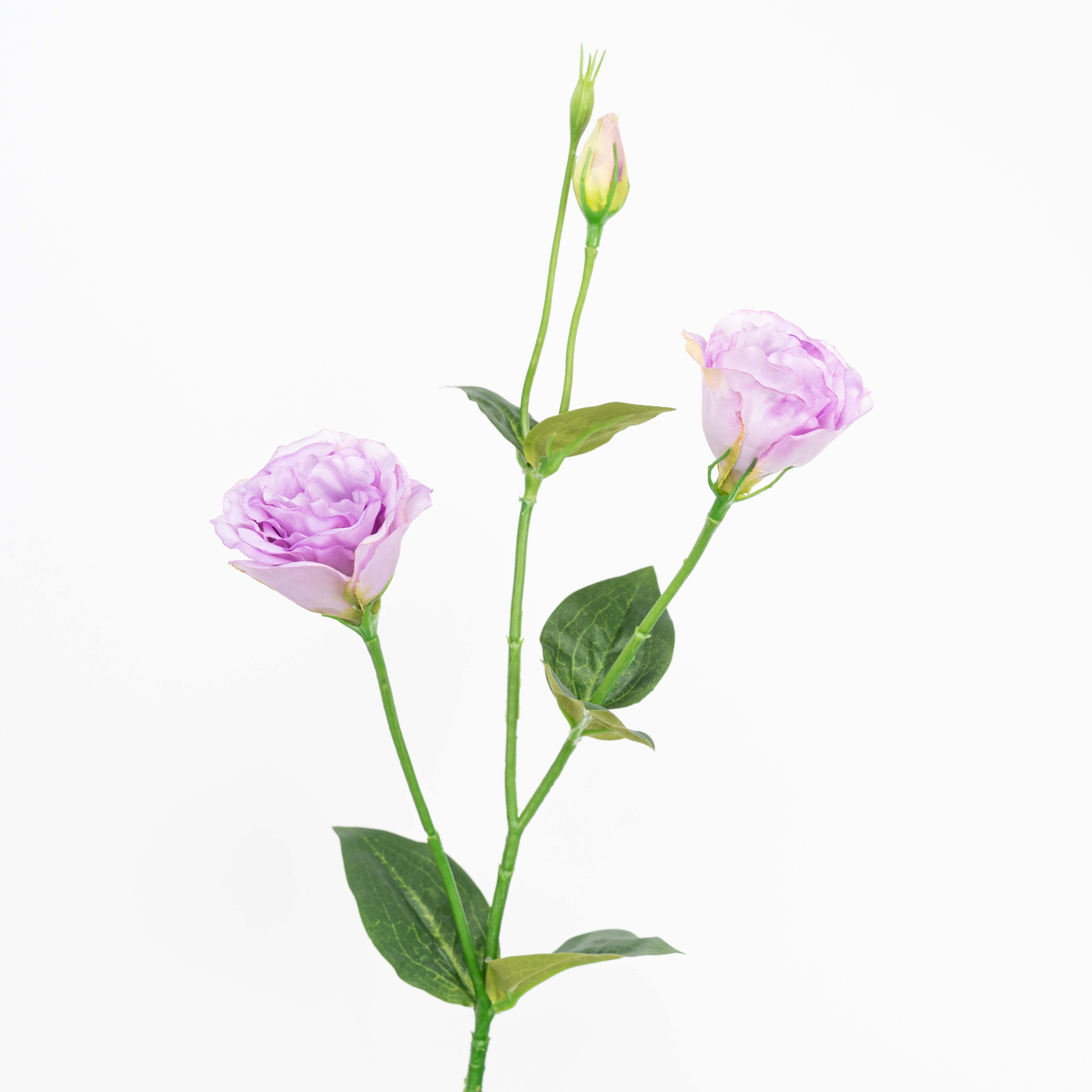 26" LISIANTHUS SPRAY