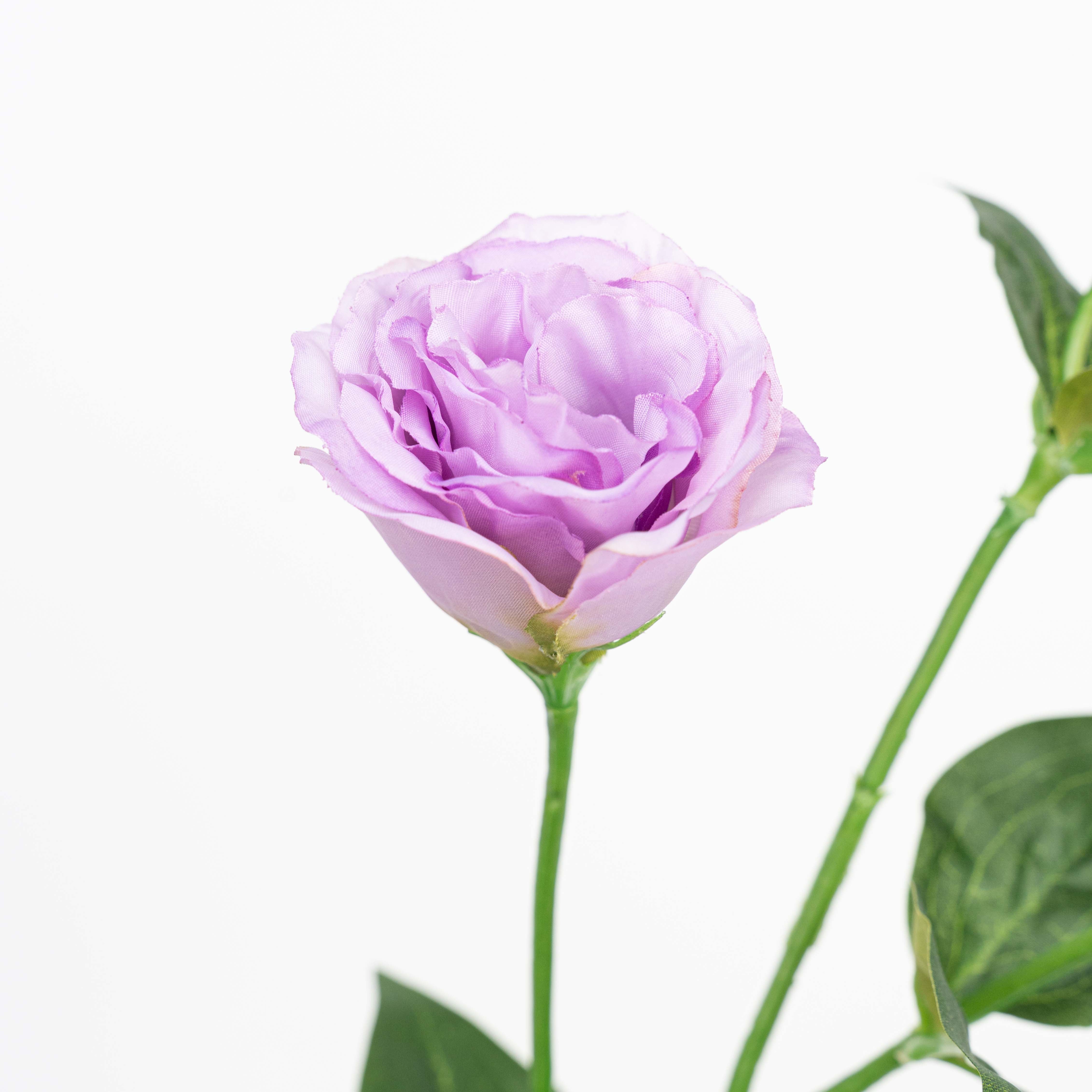 26" LISIANTHUS SPRAY