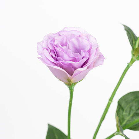 26" LISIANTHUS SPRAY