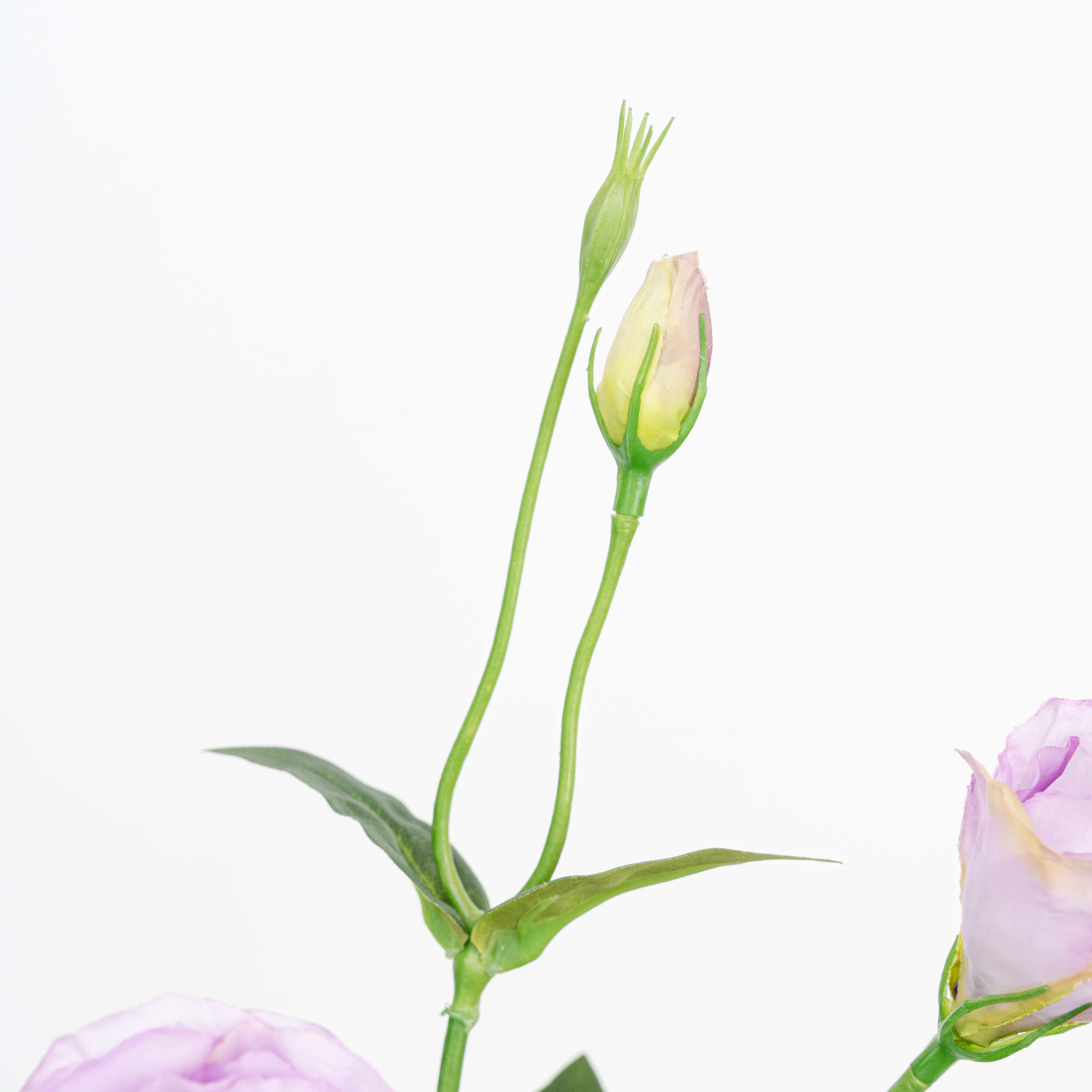 26" LISIANTHUS SPRAY