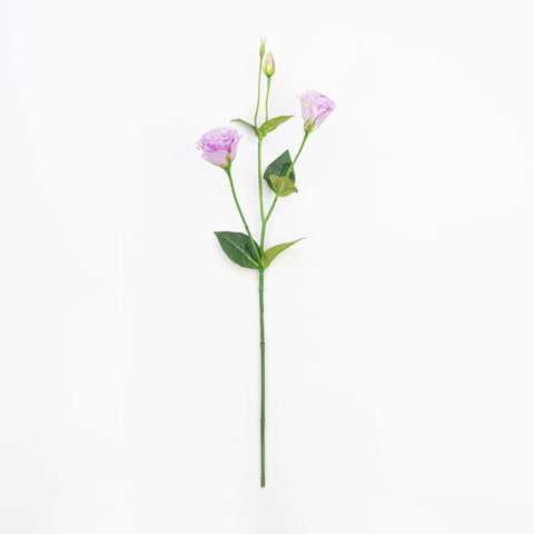 26" LISIANTHUS SPRAY