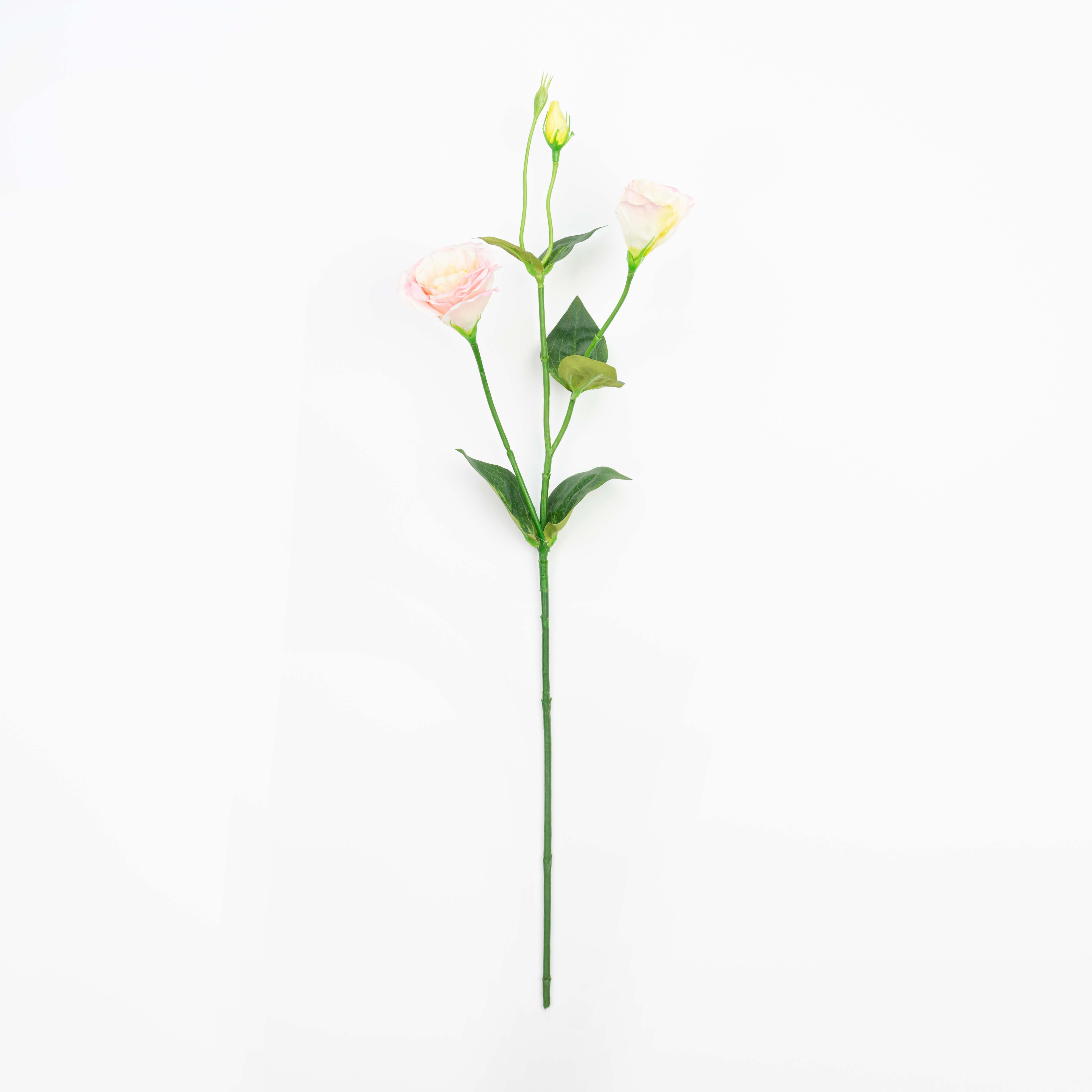 26" LISIANTHUS SPRAY