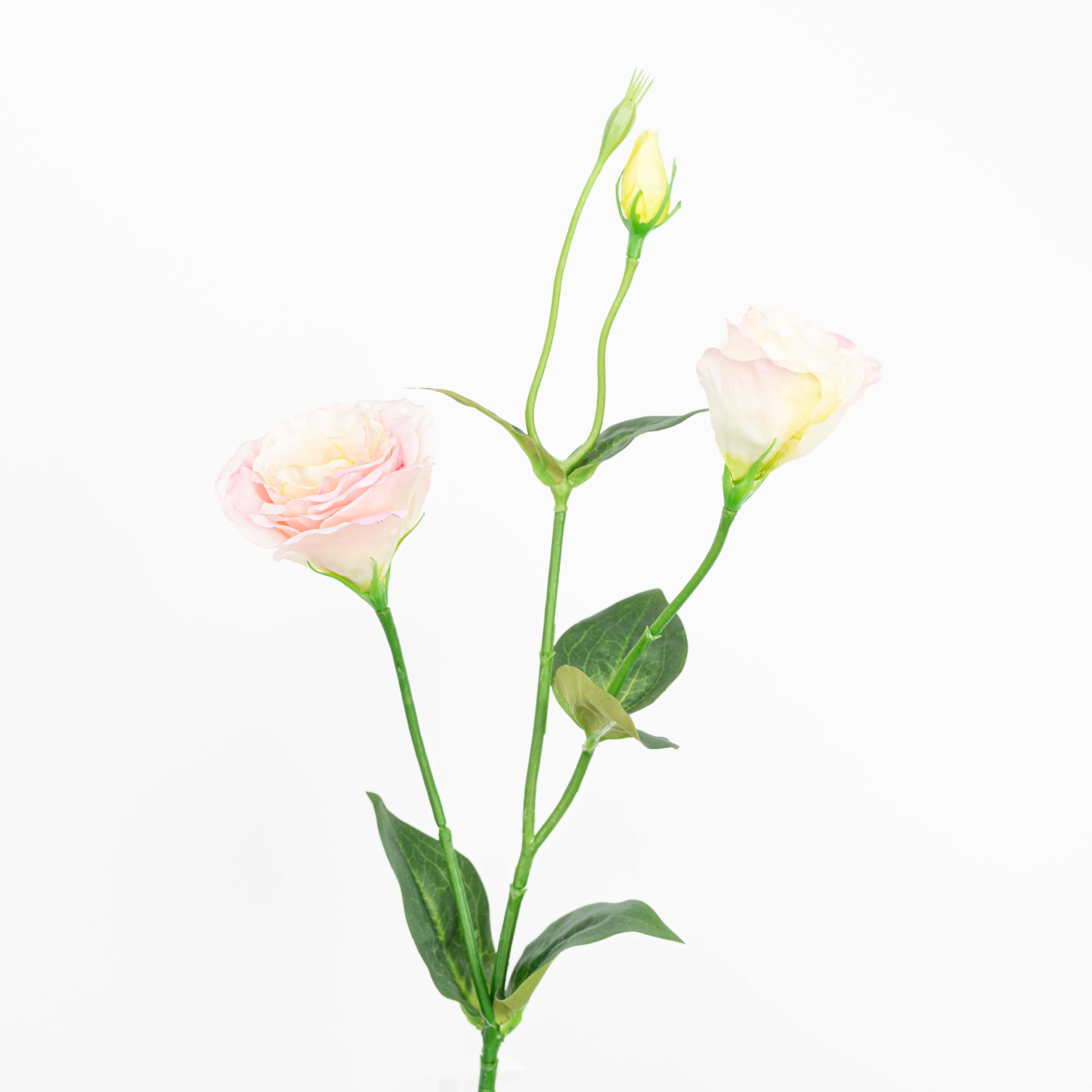 26" LISIANTHUS SPRAY