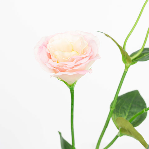 26" LISIANTHUS SPRAY