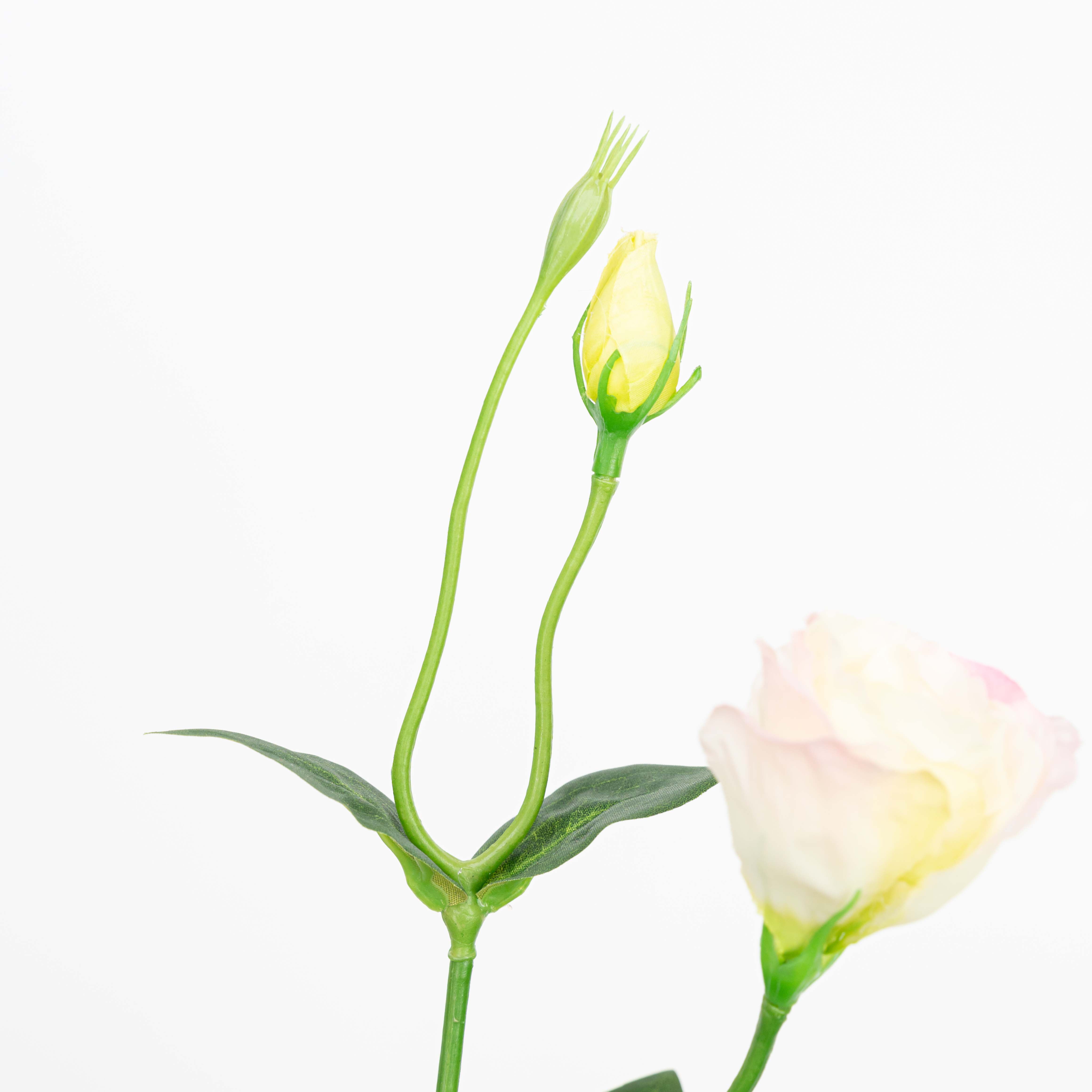 26" LISIANTHUS SPRAY