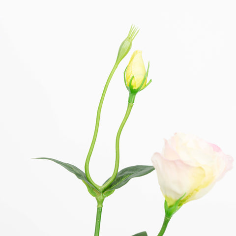 26" LISIANTHUS SPRAY