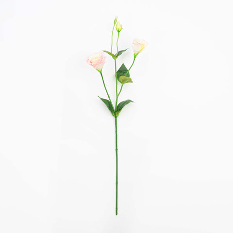 26" LISIANTHUS SPRAY