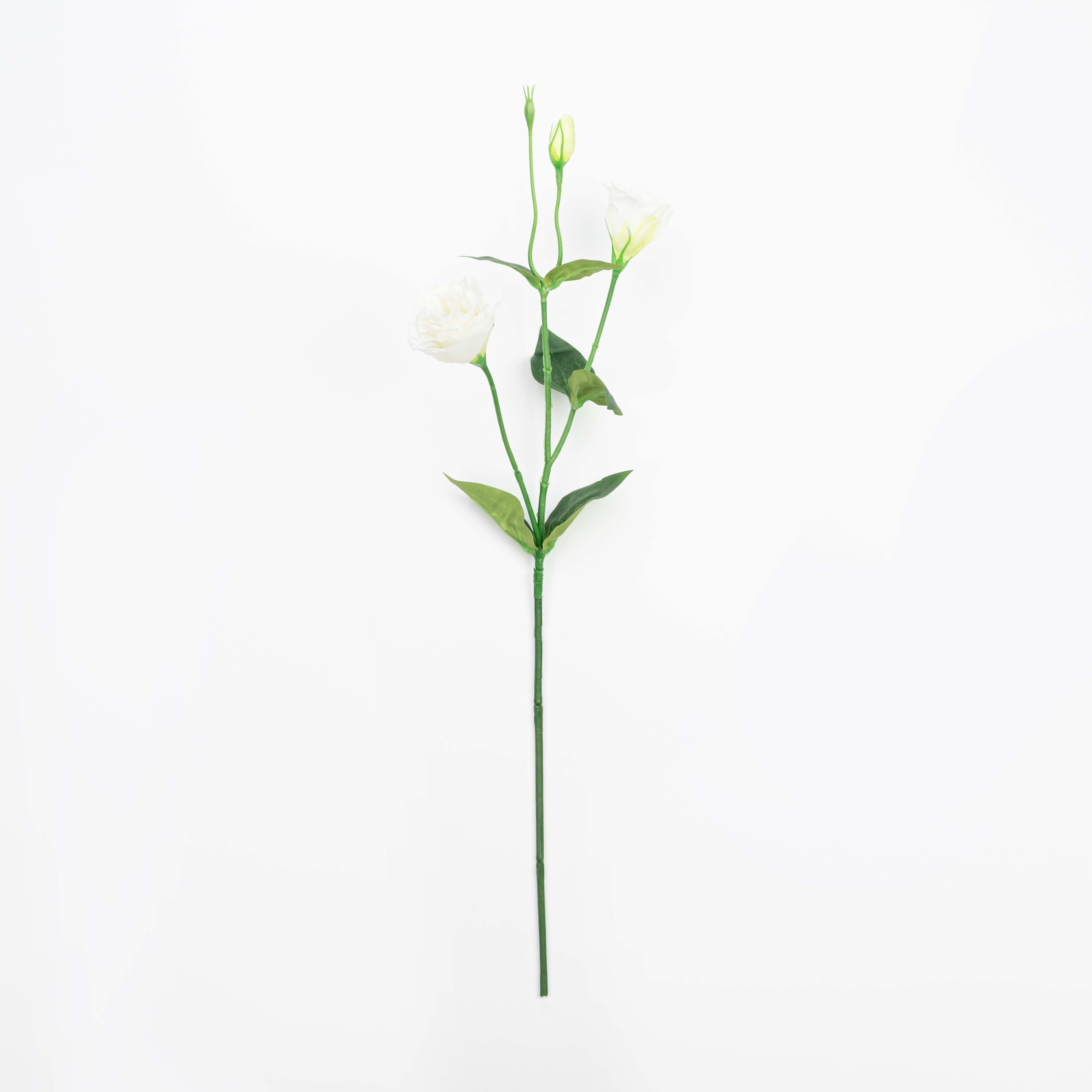 26" LISIANTHUS SPRAY