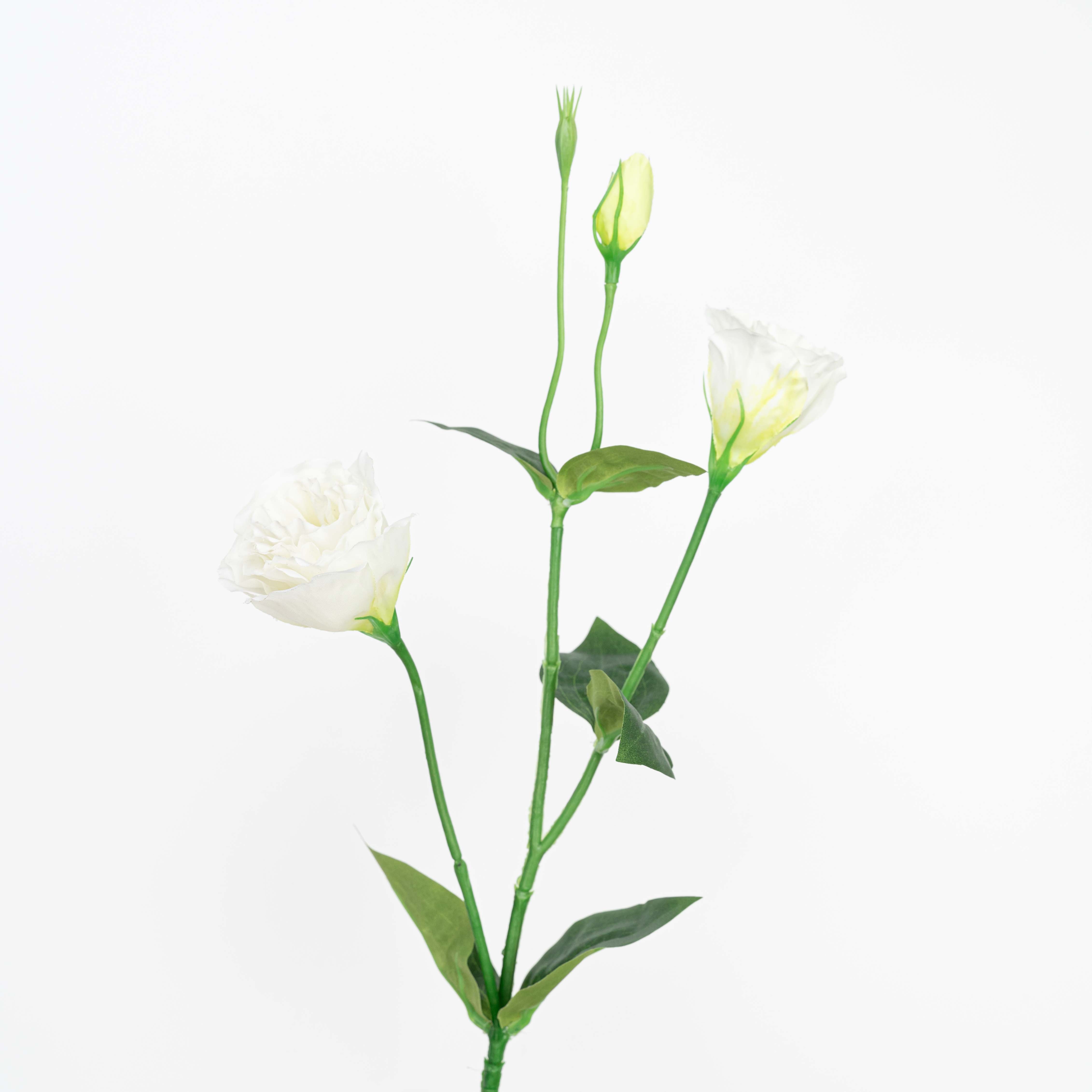 26" LISIANTHUS SPRAY