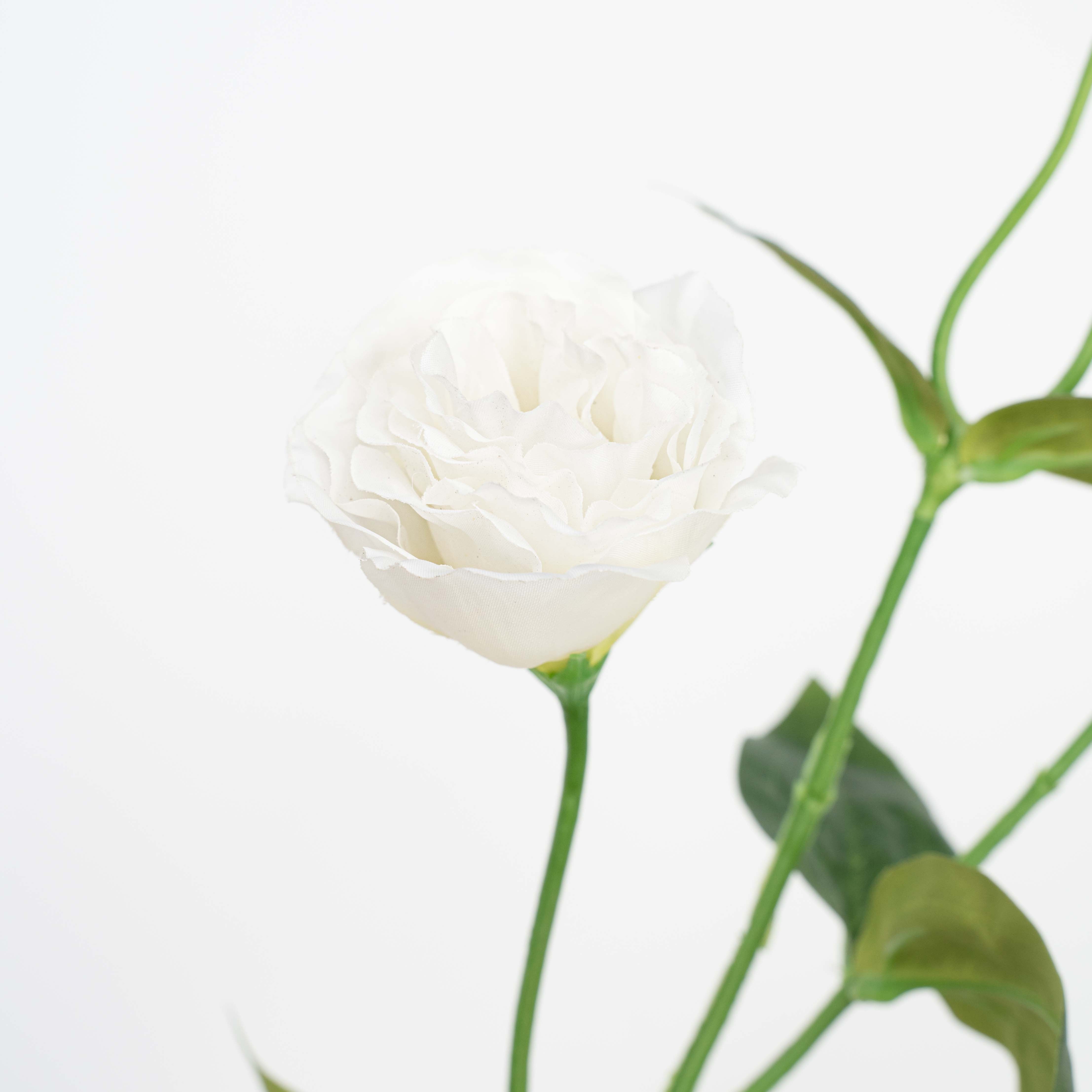 26" LISIANTHUS SPRAY