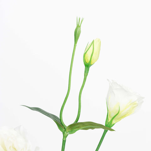 26" LISIANTHUS SPRAY