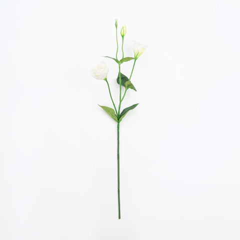 26" LISIANTHUS SPRAY