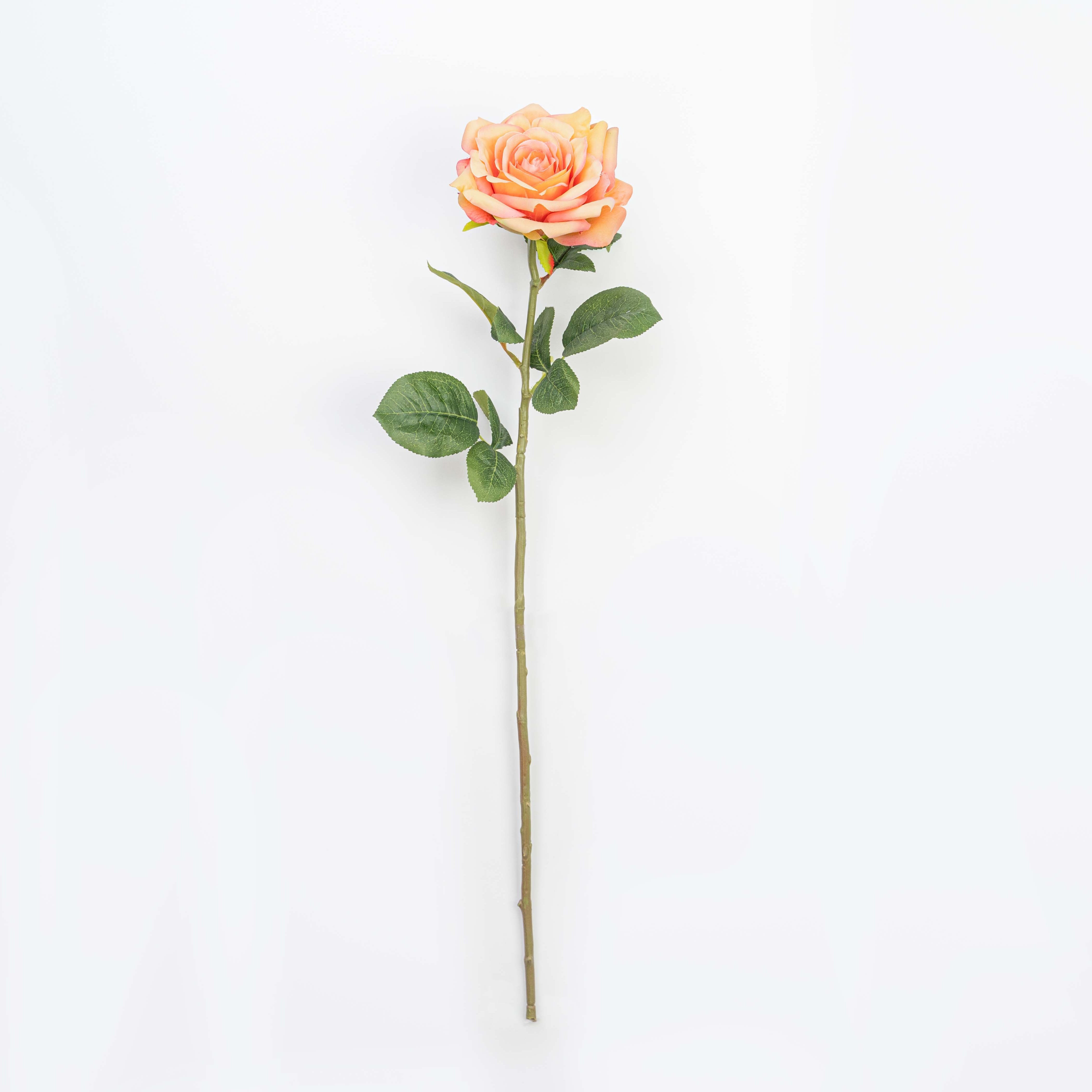 28" ROSE STEM