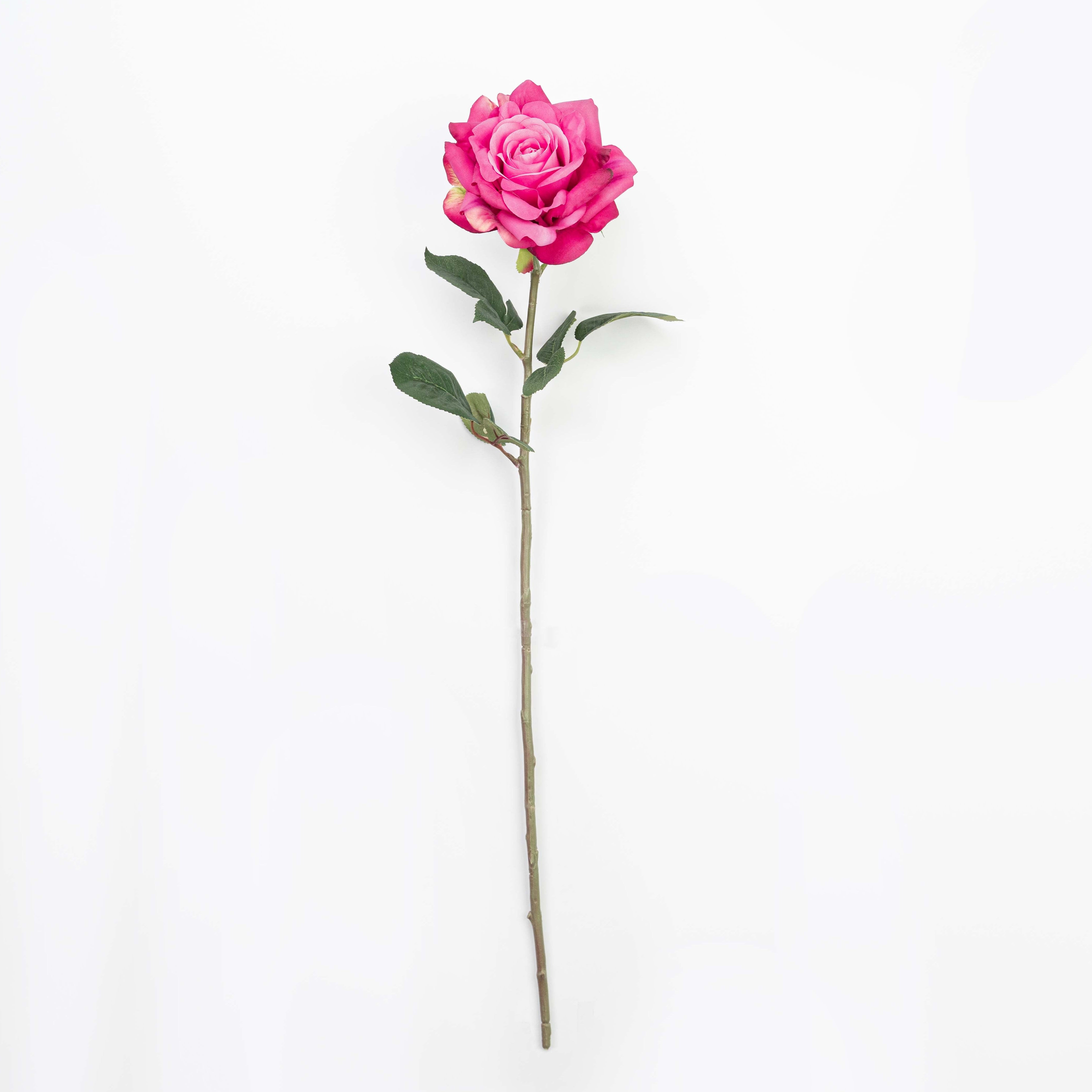 28" ROSE STEM