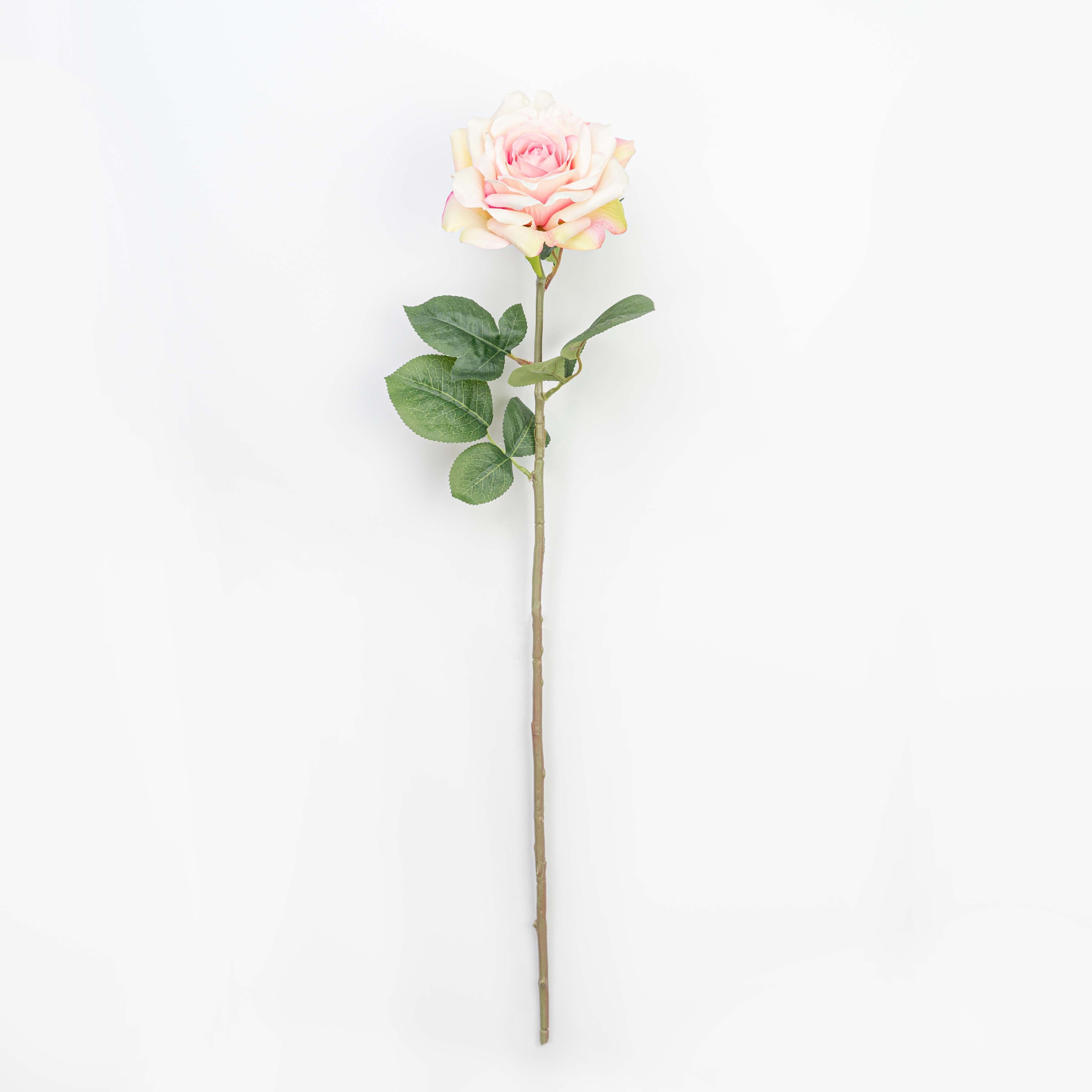 28" ROSE STEM
