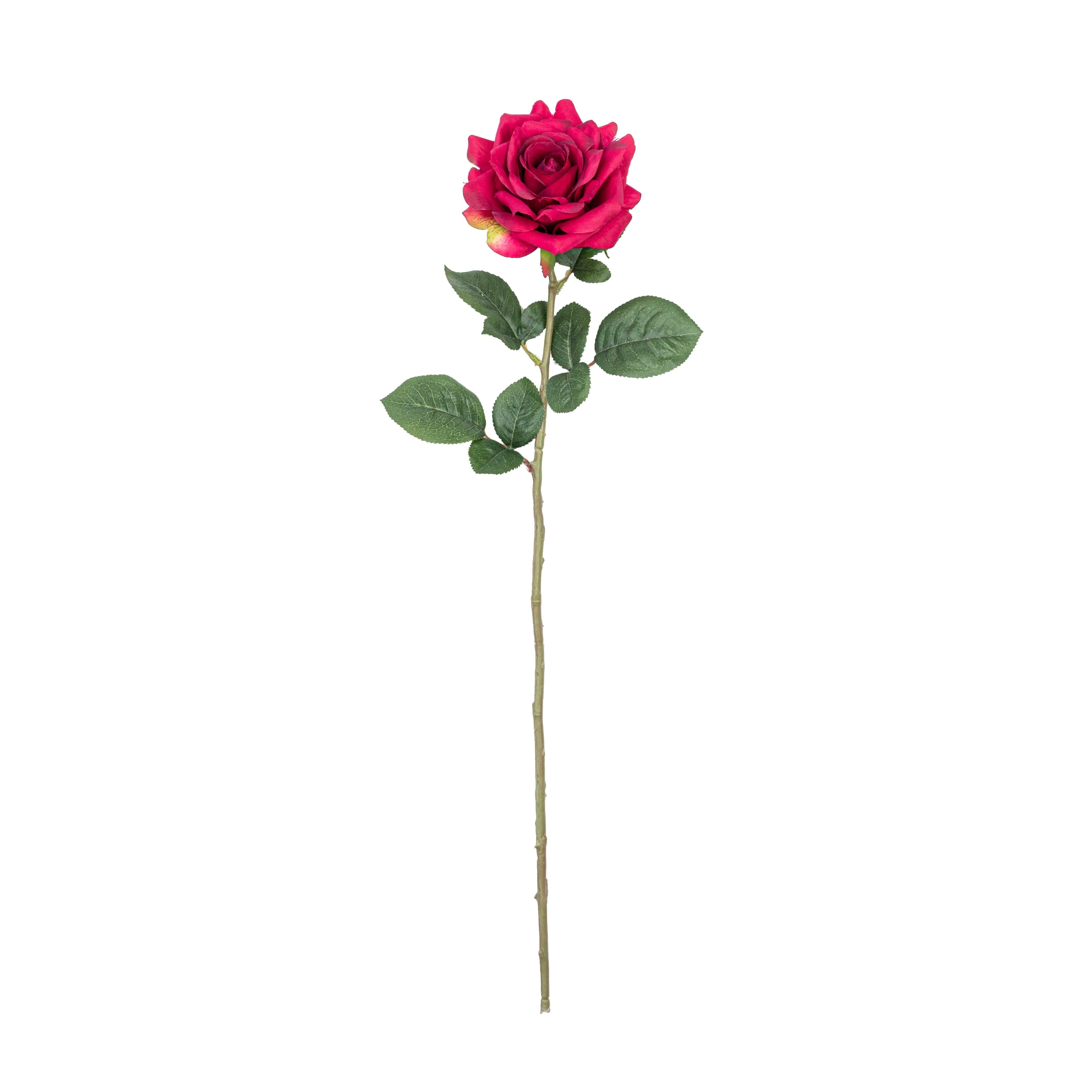 28" ROSE STEM