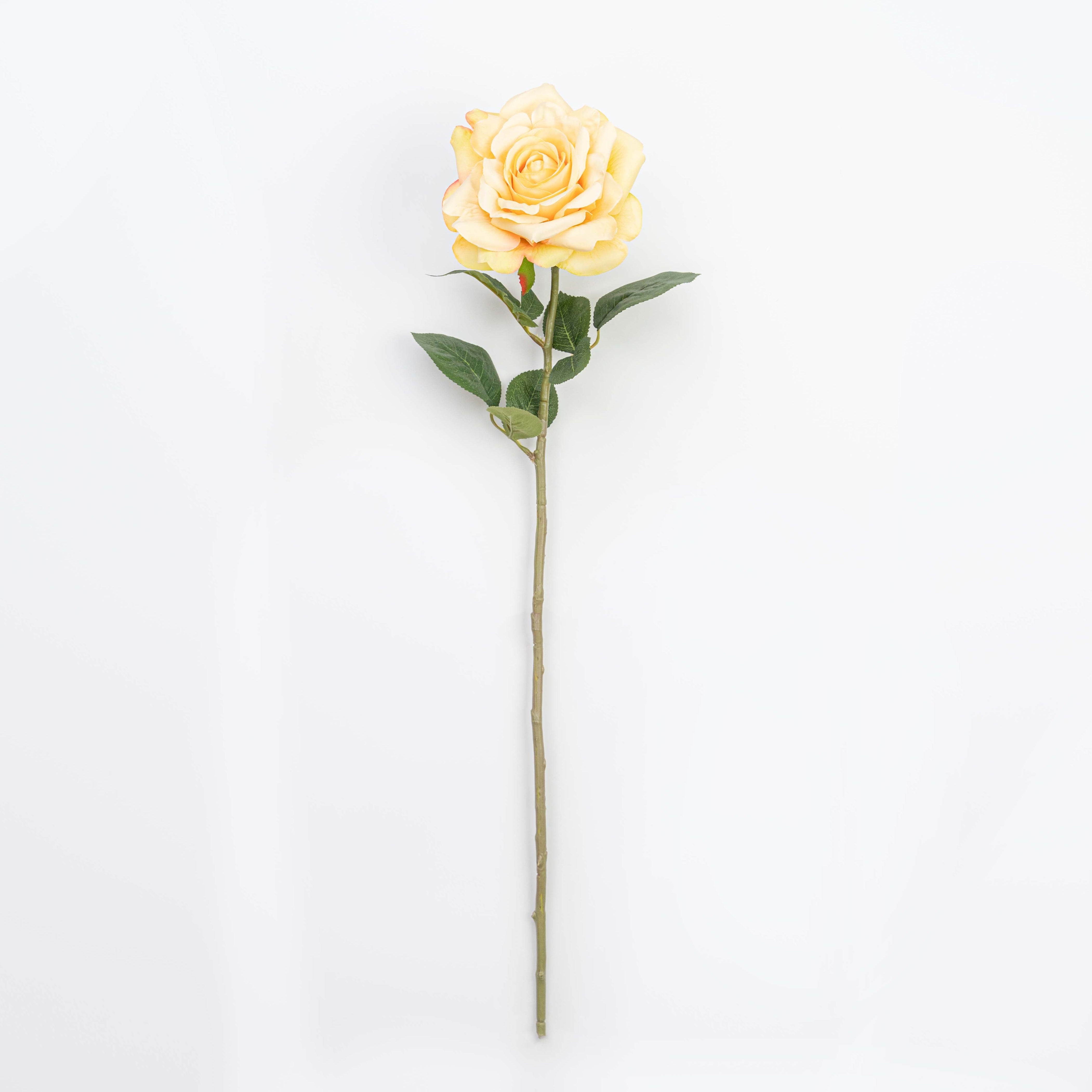 28" ROSE STEM