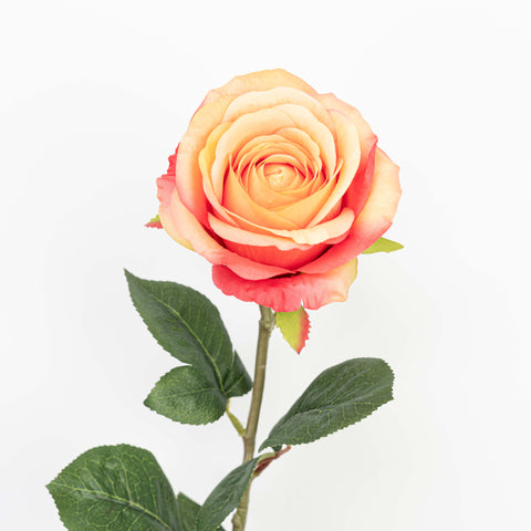 28" FRENCH ROSE STEM