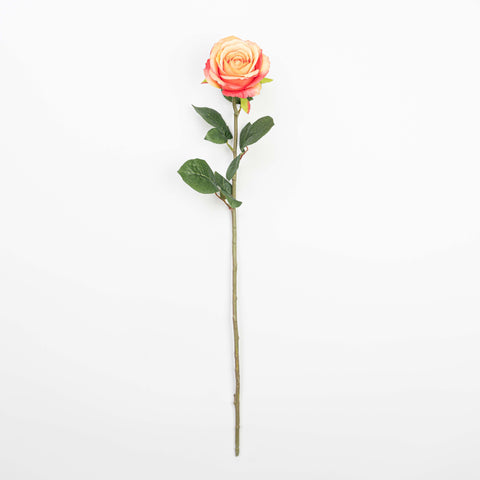 28" FRENCH ROSE STEM