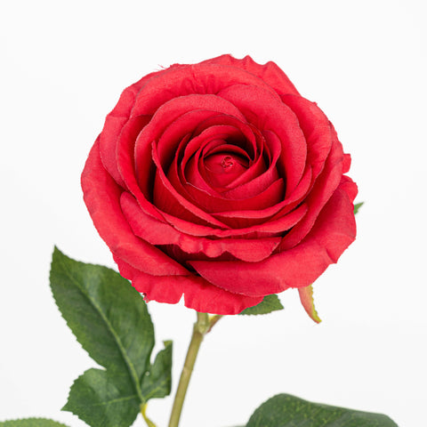 28" FRENCH ROSE STEM