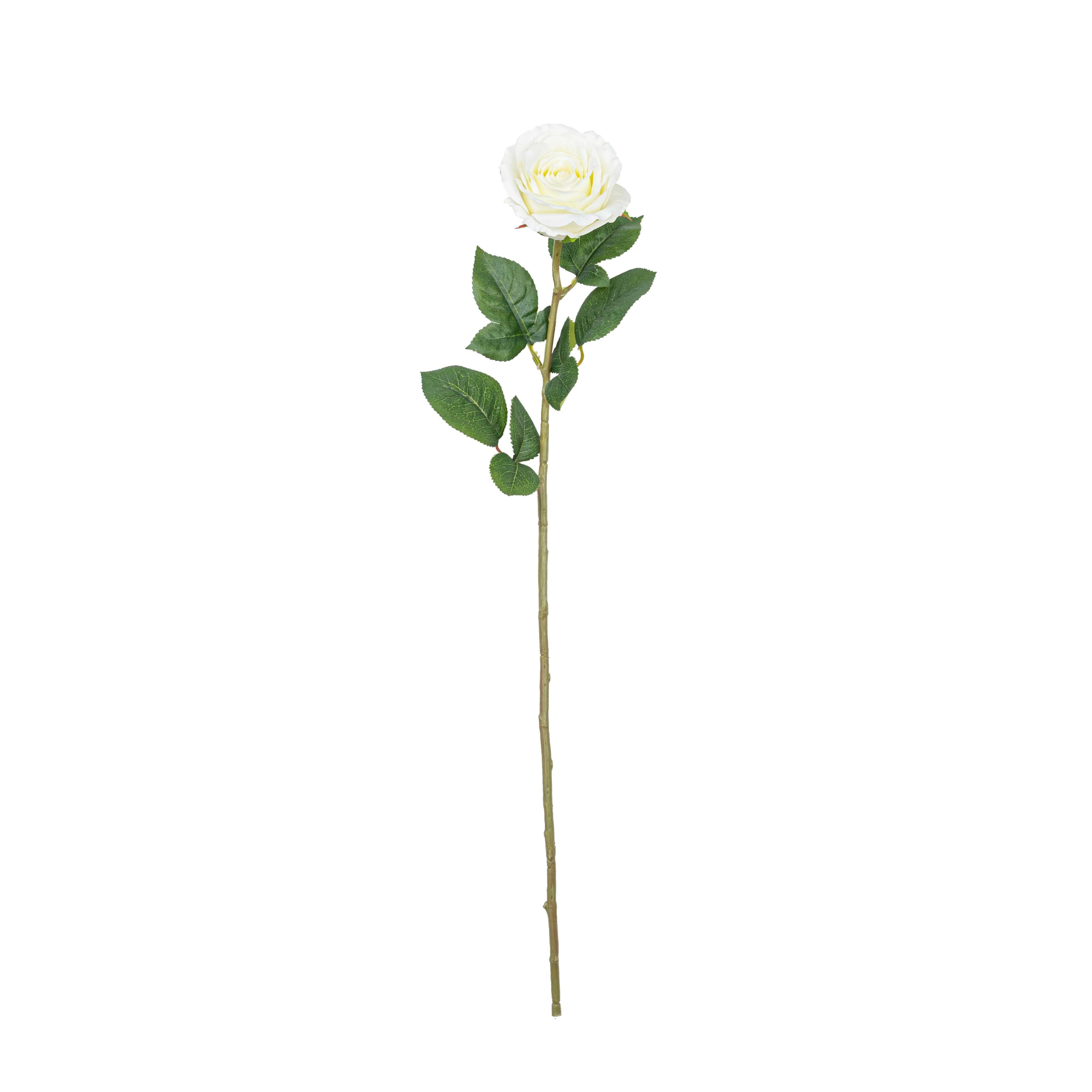 28" FRENCH ROSE STEM