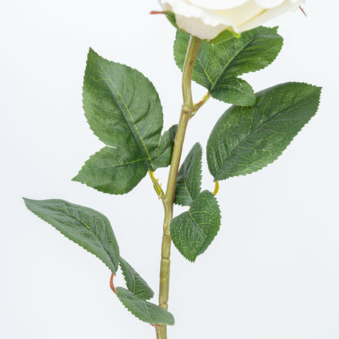 28" FRENCH ROSE STEM