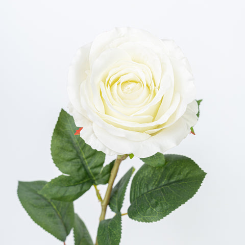 28" FRENCH ROSE STEM