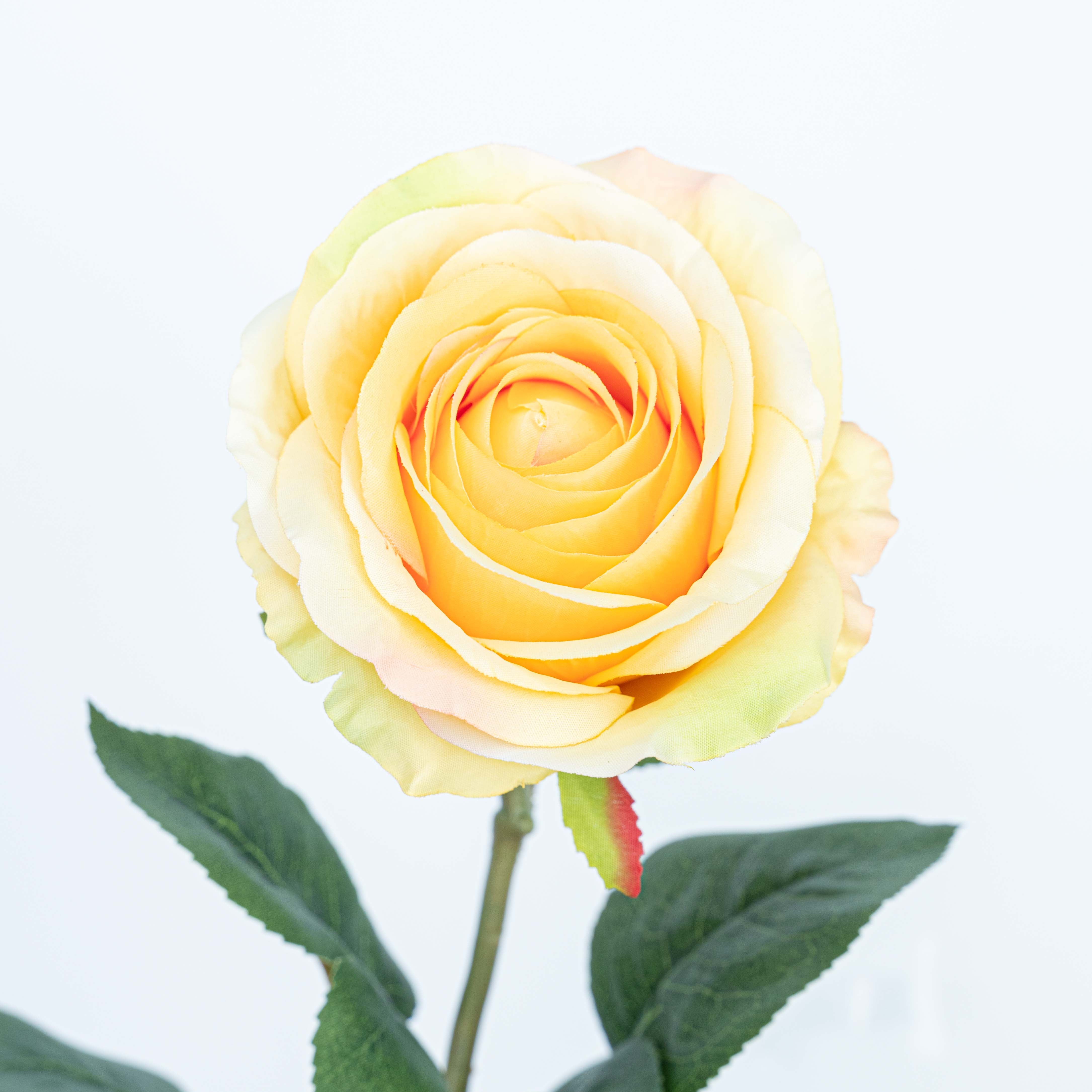 28" FRENCH ROSE STEM