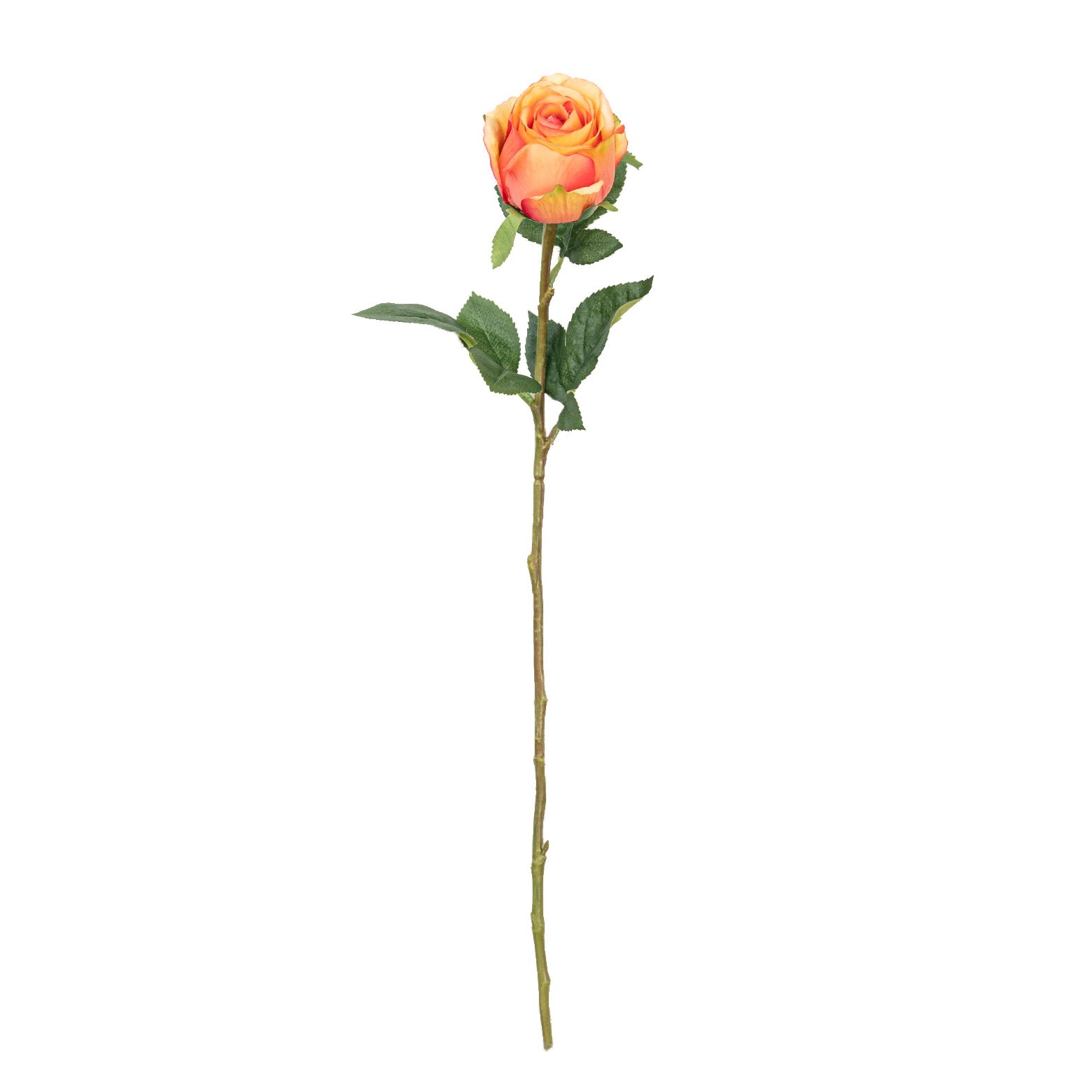 21" ROSE BUD STEM