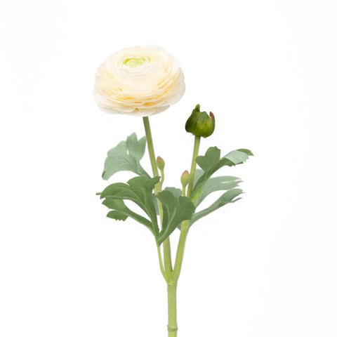 19" RANUNCULUS STEM