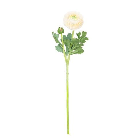 19" RANUNCULUS STEM