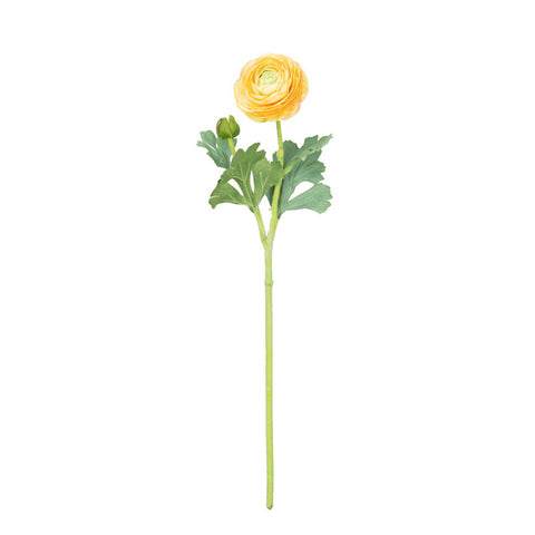 19" RANUNCULUS STEM