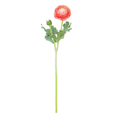 19" RANUNCULUS STEM
