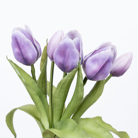 12" SOFT TOUCH TULIP BUNDLE X 5