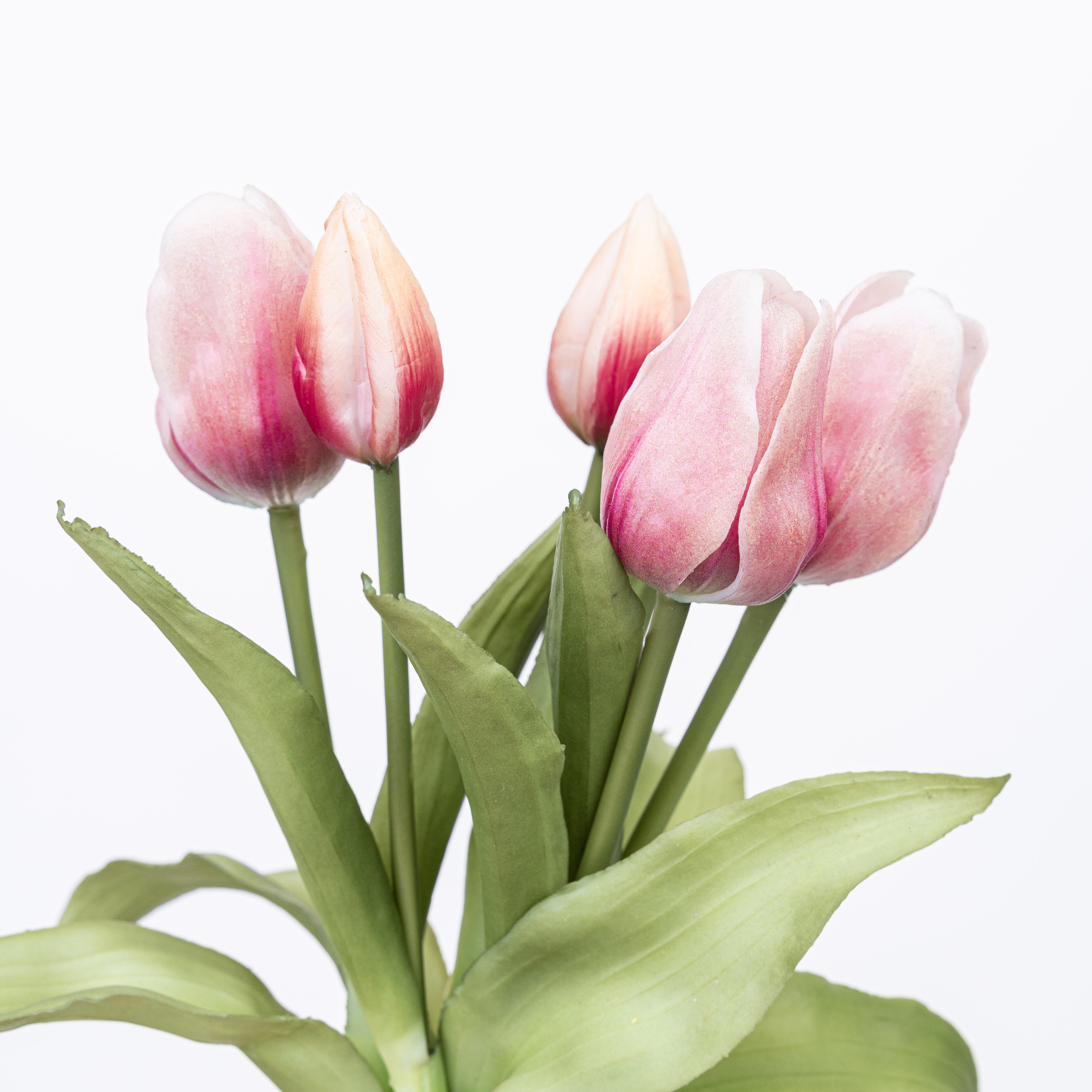 12" SOFT TOUCH TULIP BUNDLE X 5