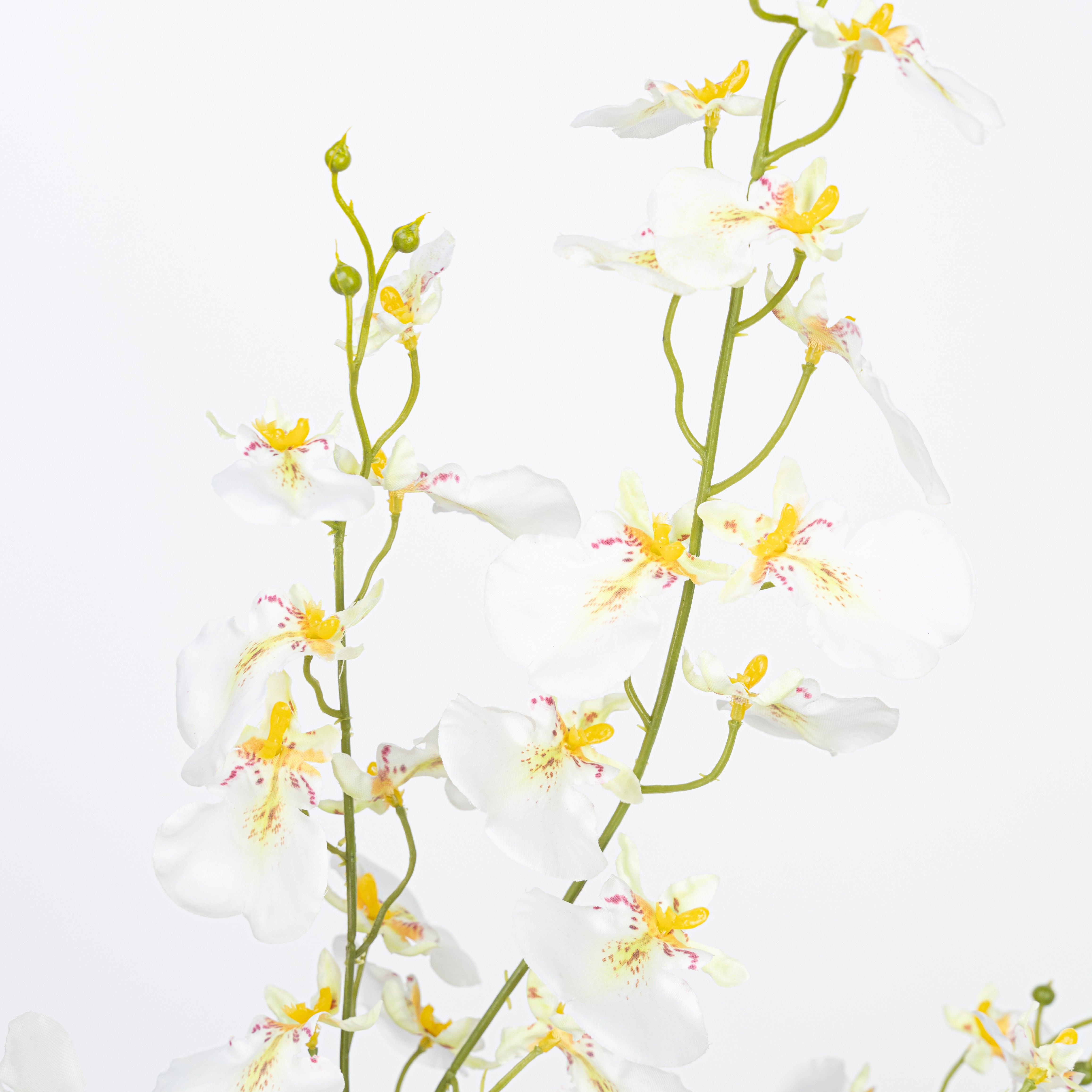 40" DANCING ORCHID SPRAY