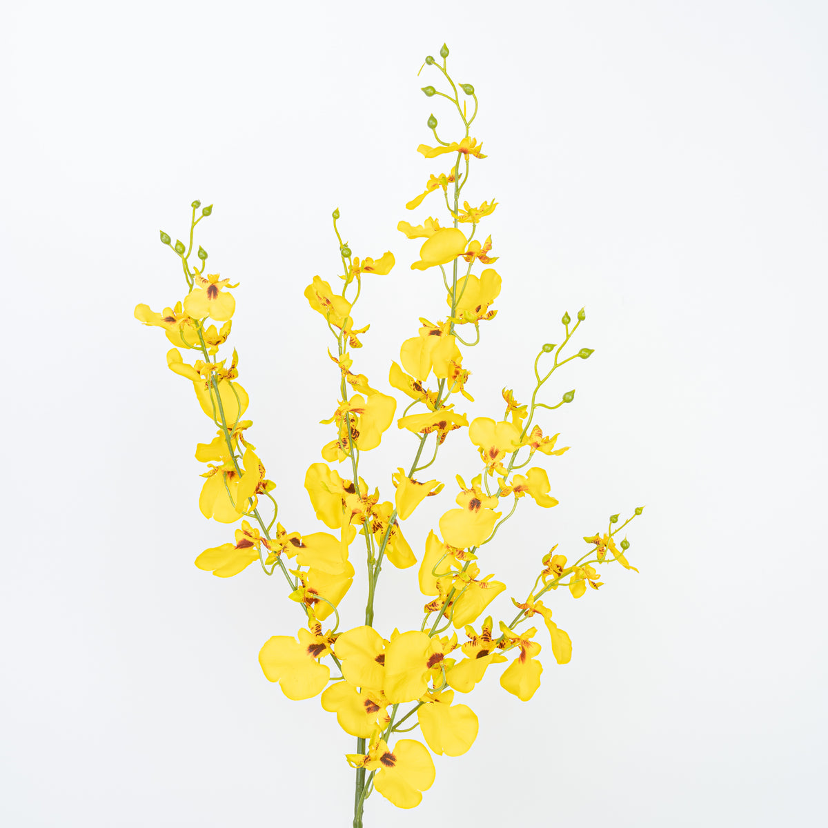 40" DANCING ORCHID SPRAY