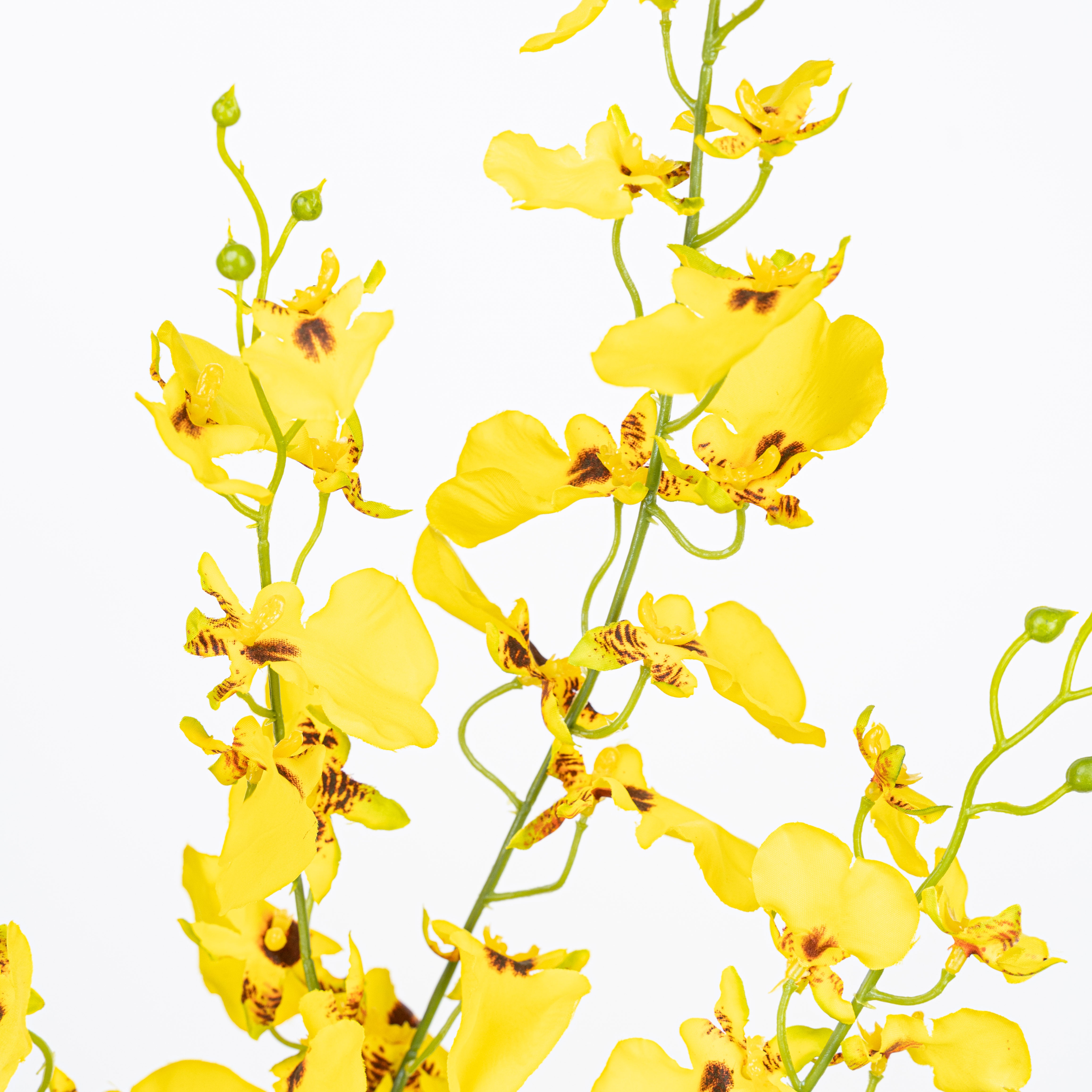 40" DANCING ORCHID SPRAY