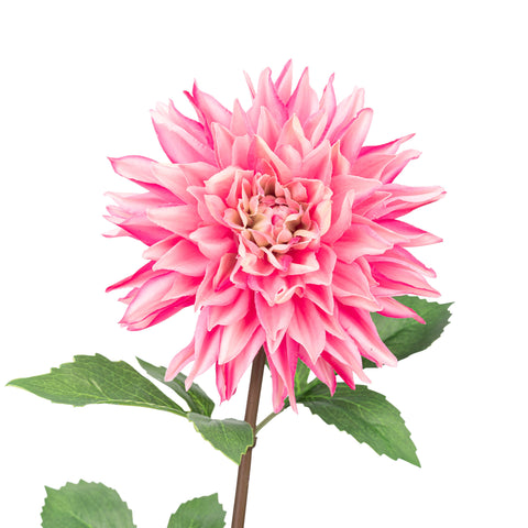 28" REAL TOUCH DAHLIA STEM