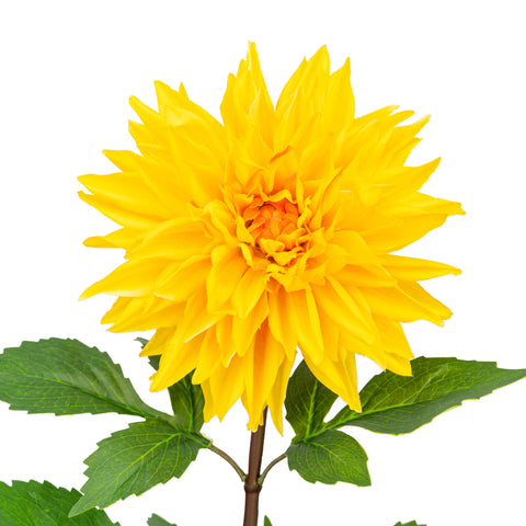 28" REAL TOUCH DAHLIA STEM