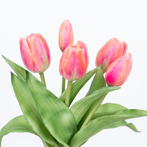 12" SOFT TOUCH TULIP BUNDLE X 5
