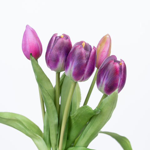 12" SOFT TOUCH TULIP BUNDLE X 5