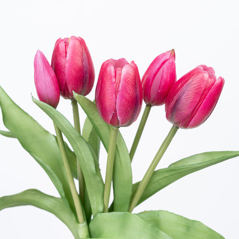 12" SOFT TOUCH TULIP BUNDLE X 5