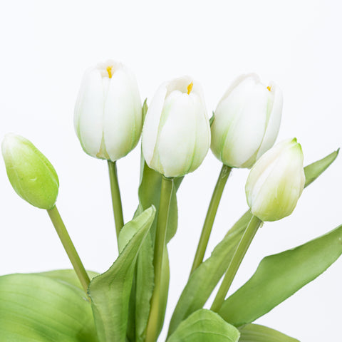 12" SOFT TOUCH TULIP BUNDLE X 5