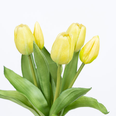 12" SOFT TOUCH TULIP BUNDLE X 5