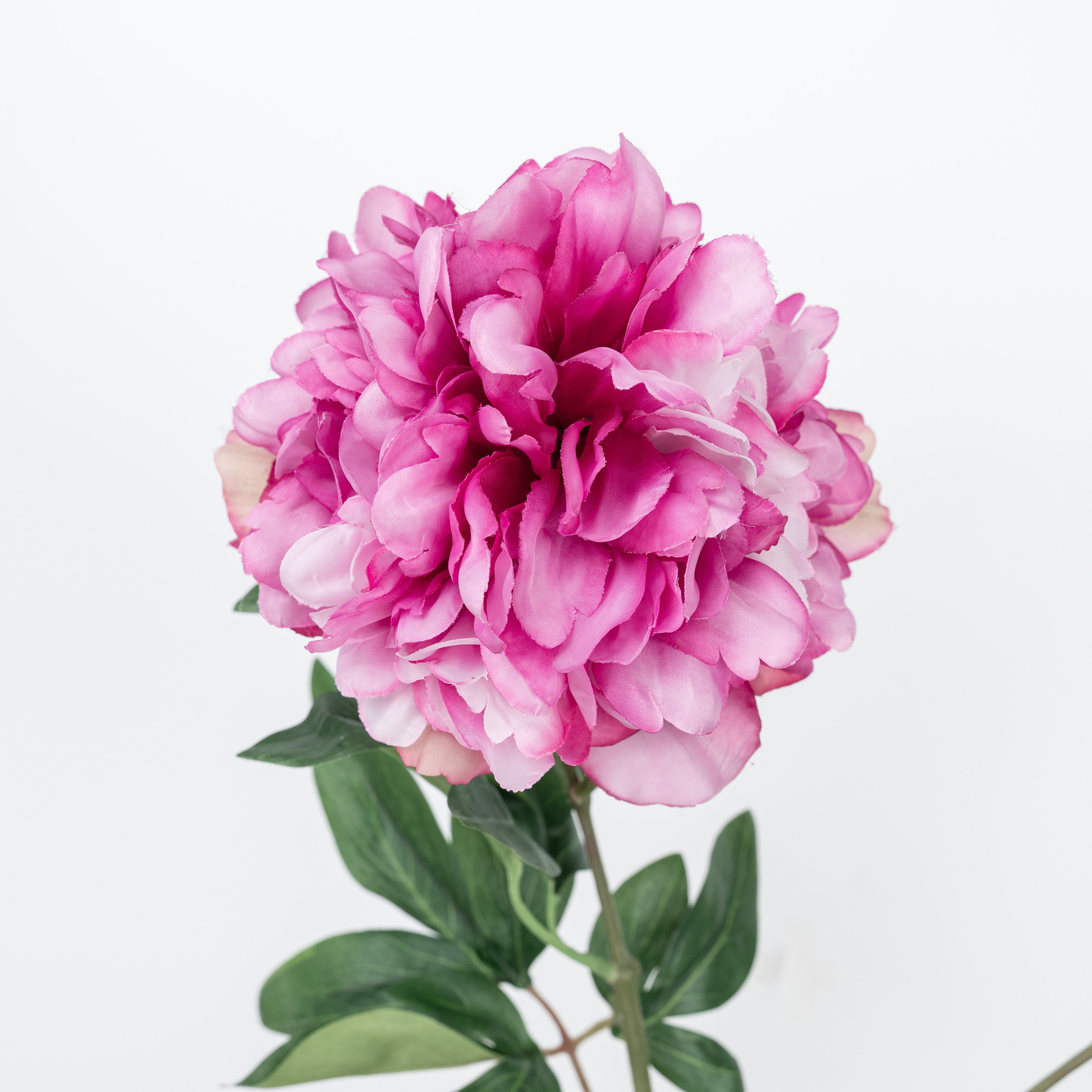 27" PEONY SPRAY