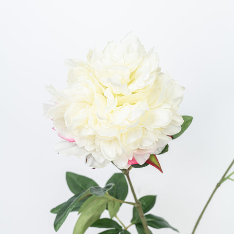 27" PEONY SPRAY